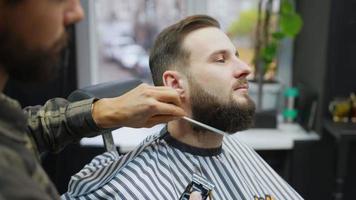 Barber combs trims and shapes the beard of seated male client video