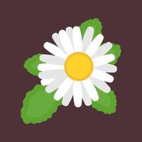 Chamomile top view vector icon flower nature. Daisy floral plant yellow blossom leaf. Green herbal grass. Above decoration beauty