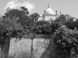 the city of tunis photo