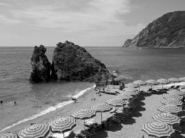 Cinque Terre in Italy photo