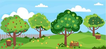 Apple garden. Summer orchard with apple trees. Green, red, yellow apples. Apple harvest, baskets with fruits. Vector illustration, flat style.