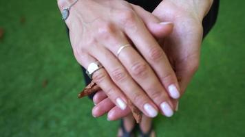 Close up of feminine hands with silver rings open to reveal a green and brown leaf video