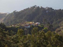 madeira island in portugal photo