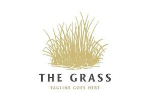 Vintage Retro Grass Meadow Lawn or Wheat Rice Farm Logo Design Vector