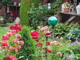 bleeding flowers in a german garden photo