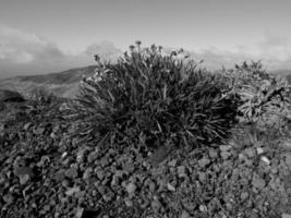 funchal y la isla de madeira foto