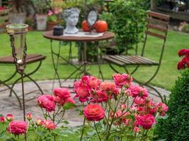 bleeding flowers in a german garden photo