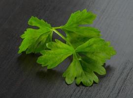 Celery leaves on wooden background photo