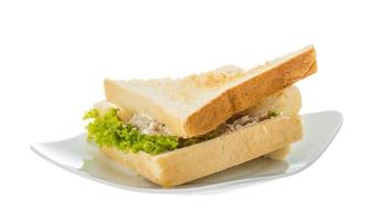 Tuna sandwich on white photo