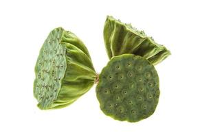 Lotus seeds on white background photo
