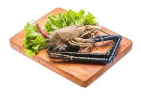 Freshwater prawn on wooden plate and white background photo