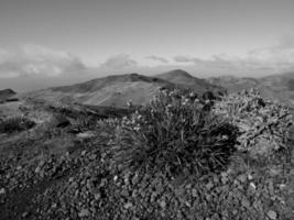 Funchal and the island madeira photo