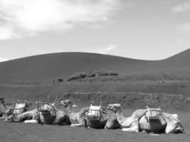 Lanzarote in spain photo