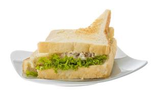 Tuna sandwich on white photo