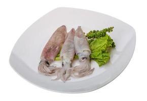 Raw calamari on the plate and white background photo