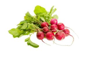 Fresh radish on white background photo