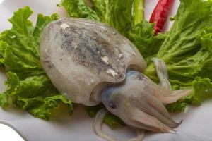 Raw cuttlefish on the plate photo
