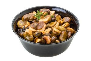 Broad beans in a bowl on white background photo