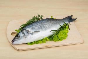 Raw whole seabass photo