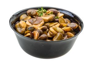 Broad beans in a bowl on white background photo