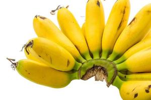 plátano bebé sobre fondo blanco foto