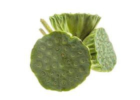 Lotus seeds on white background photo