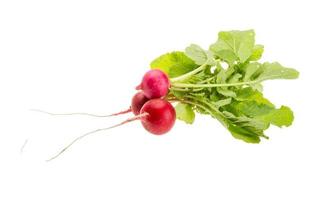 Fresh radish on white background photo