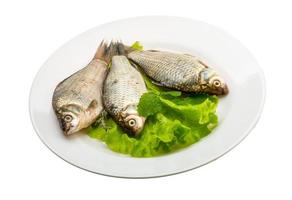 Crucian fish on the plate and white background photo