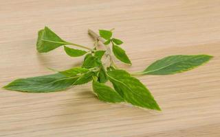 Bergamot leaves on wooden background photo