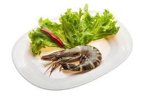 Tiger prawn Tiger prawn on the plate and white background photo