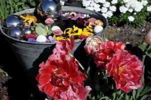 summer flowers in the garden photo