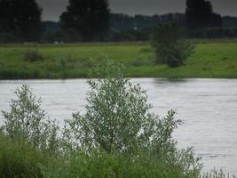 the city of Doesburg in the netherlands photo