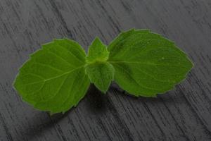 Mint leaves on wooden background photo