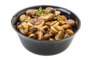 Broad beans in a bowl on white background photo