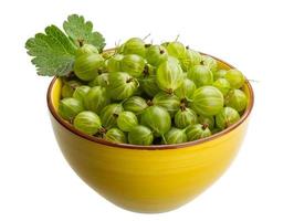 Gooseberries in a bowl on white background photo