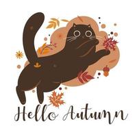 Autumn cat illustration and the inscription Hello Autumn. Vector graphics