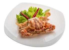 Red crab on the plate and white background photo