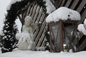 invierno en el jardin foto