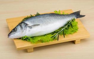 Raw whole seabass photo