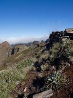 la isla de madeira foto