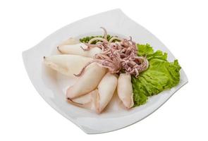 Boiled squid on the plate and white background photo