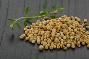 Coriander seeds on wooden background photo