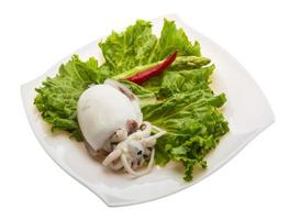 Boiled cuttlefish on the plate and white background photo