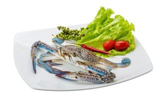 cangrejo azul crudo en el plato y fondo blanco foto