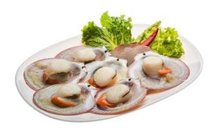 Raw fresh scallop on the plate and white background photo