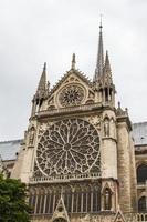 Notre Dame - Paris close up view photo