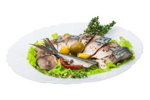 Mackerels on the plate and white background photo