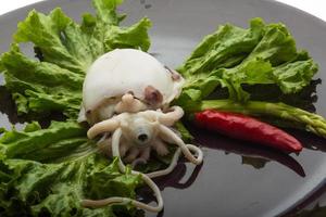 Boiled cuttlefish on the plate photo