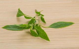 Bergamot leaves on wooden background photo