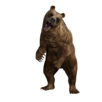 3d Illustration Bear png